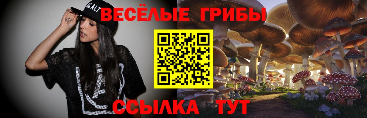Псилоцибиновые грибы Psilocybine cubensis Алушта