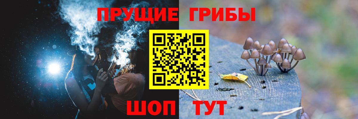 Алушта  Галлюциногенные грибы мицелий  Вход с VPN 
